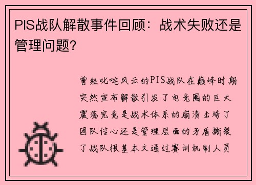PIS战队解散事件回顾：战术失败还是管理问题？